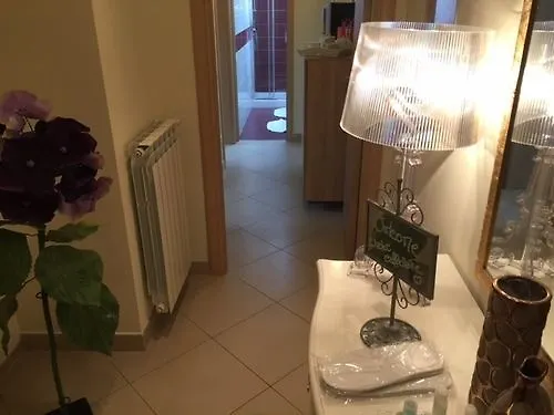 Guest house Relais Il Nido Hotel Pisa